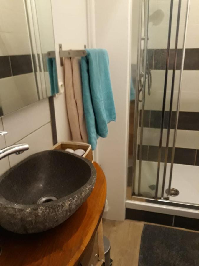 Le Langevin - Appartement Troyes Centre Esterno foto